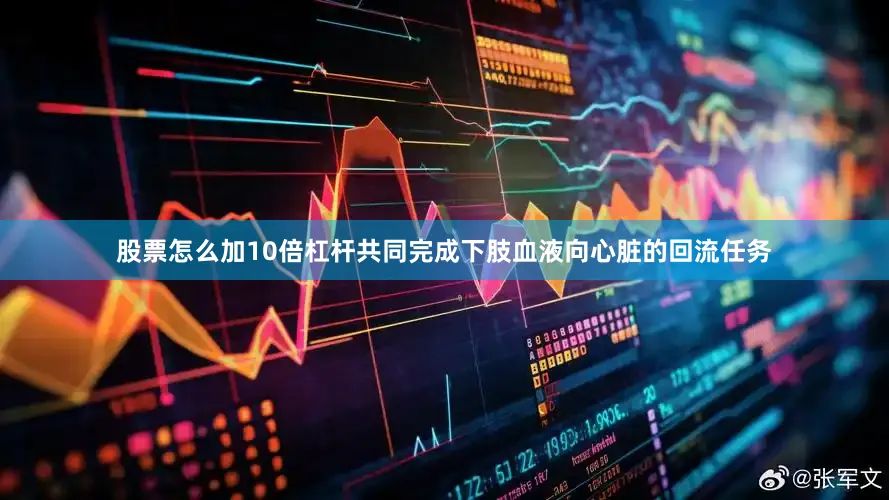 股票怎么加10倍杠杆共同完成下肢血液向心脏的回流任务