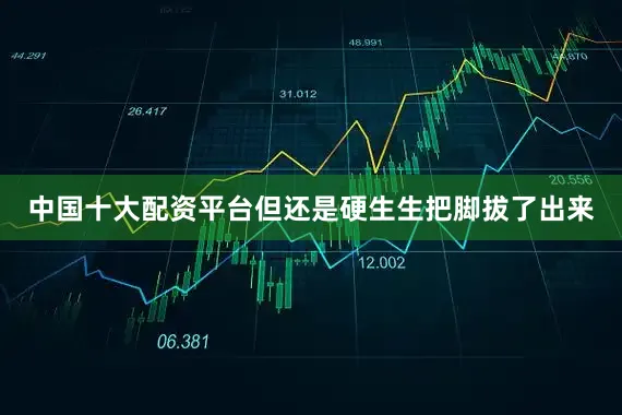 中国十大配资平台但还是硬生生把脚拔了出来