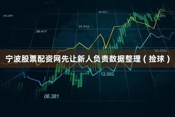 宁波股票配资网先让新人负责数据整理 ( 捡球 )