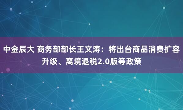 中金辰大 商务部部长王文涛：将出台商品消费扩容升级、离境退税2.0版等政策